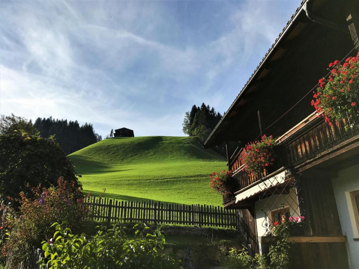 Apartment Chalet Edelweiss - Wil001 By Interhome Auffach Exterior foto